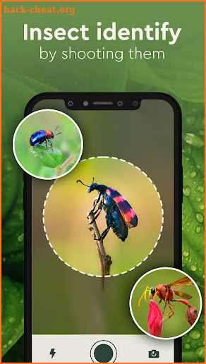 Plant Identifier, Insect ID screenshot