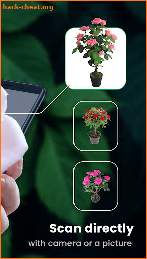 Plant identifier: plant finder screenshot
