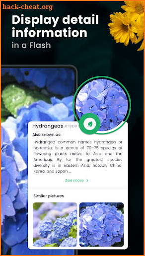 Plant identifier: plant finder screenshot