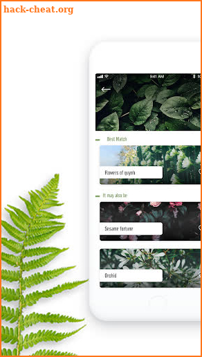 PlantFinder - Flower & Plant Identification screenshot