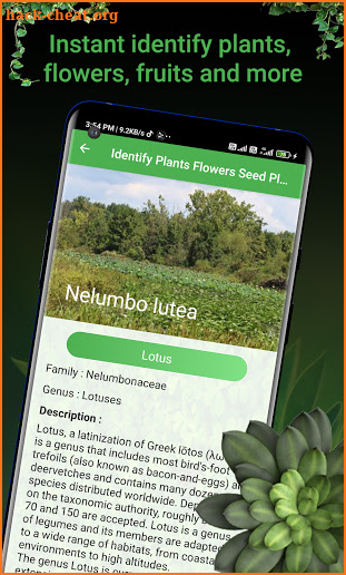 PlantFinder - FREE Plant & Flower Identification screenshot