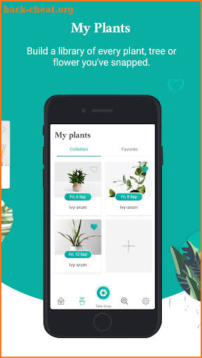 PlantFinder - Plant Identification screenshot