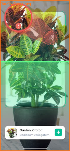 PlantIn: Plant Identification screenshot