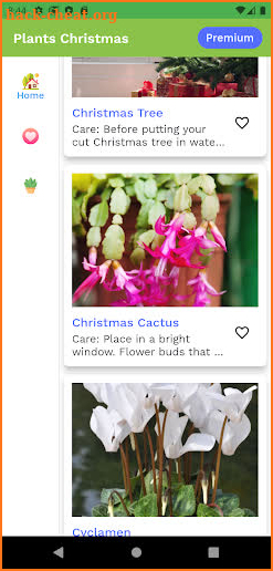 Plants Christmas screenshot