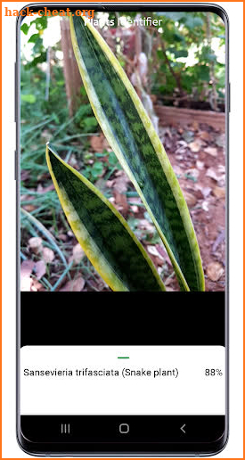 Plants identifier -plant identification by picture screenshot