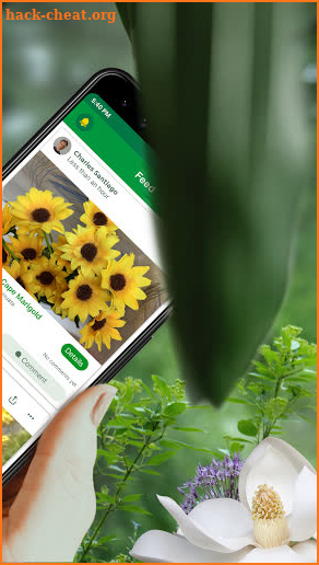 PlantSnap - FREE plant identifier app screenshot