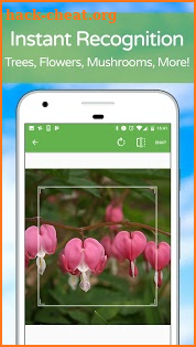 PlantSnap - Identify Plants, Flowers, Trees & More screenshot