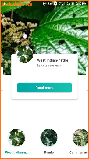 PlantSpot - New Plant identification screenshot