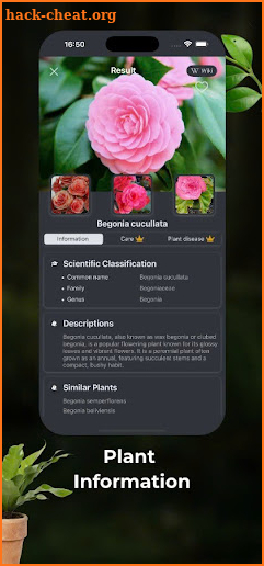 Plany - PlantID screenshot