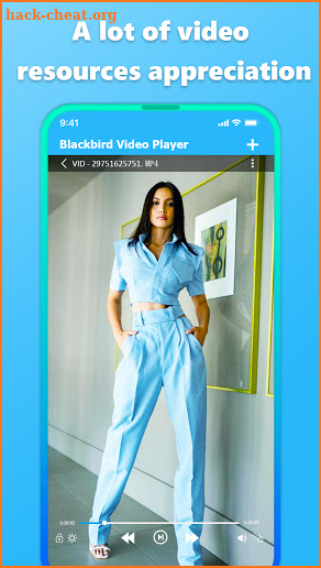 Plate Blackbird Playit Video Player screenshot