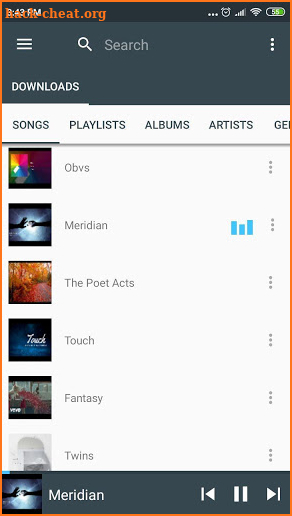Player to Search Manage And Download Music on SD screenshot