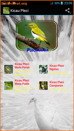 Pleci Birdsong ( All Varian ) screenshot