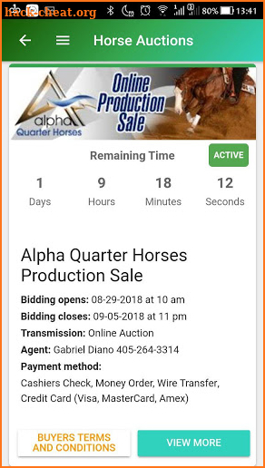 Plus Horse Sales screenshot
