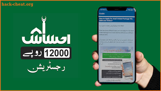 PM Ehsaas Program | Online Apply Guide screenshot