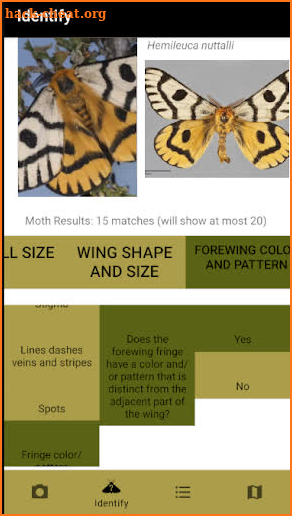 PNW Moths screenshot