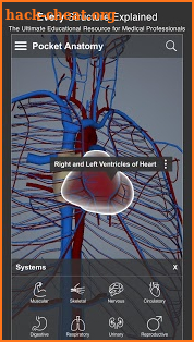 Pocket Anatomy Pro screenshot