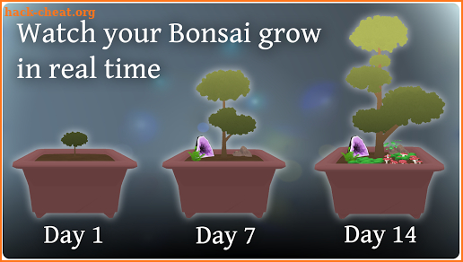 Pocket Bonsai screenshot
