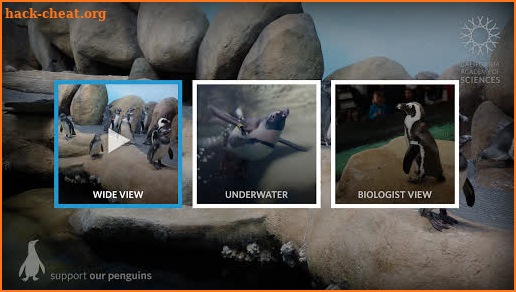 Pocket Penguins screenshot