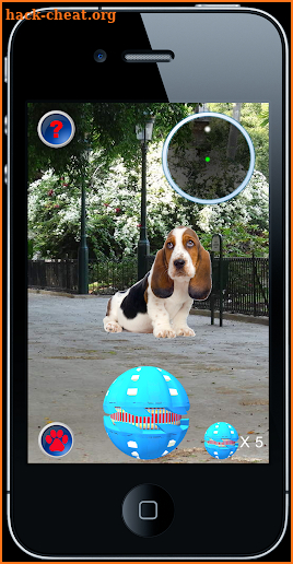 Pocket Puppy Pet Go! screenshot