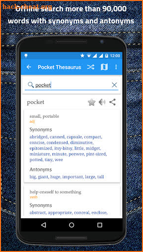 Pocket Thesaurus screenshot