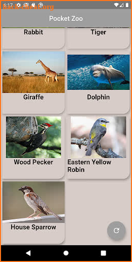 Pocket Zoo screenshot