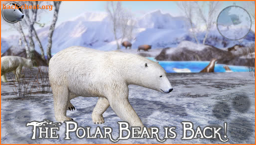 Polar Bear Simulator 2 screenshot