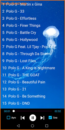 Polo G  All Songs [31 Best Songs]-Offline screenshot