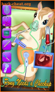 Pony Pregnancy Maternity screenshot