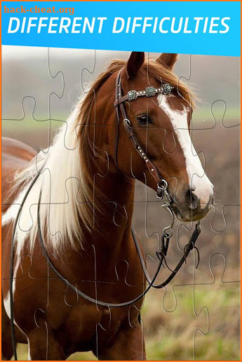 Pony Puzzles: Pony and Horse Jigsaw Puzzles screenshot