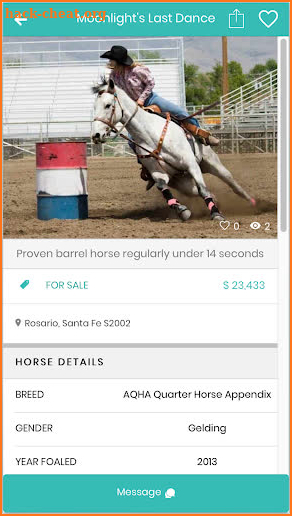 PonyPlace - Buy and Sell Horses and Tack screenshot