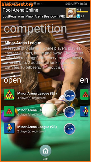 Pool Arena Online screenshot