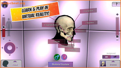 Popar Human Anatomy screenshot