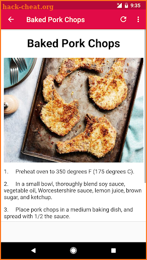 Pork Chop Recipes screenshot