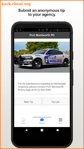 Port Wentworth PD screenshot