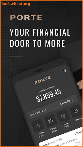 Porte: Mobile Banking screenshot