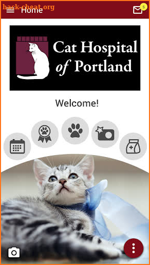 Portland Cats screenshot