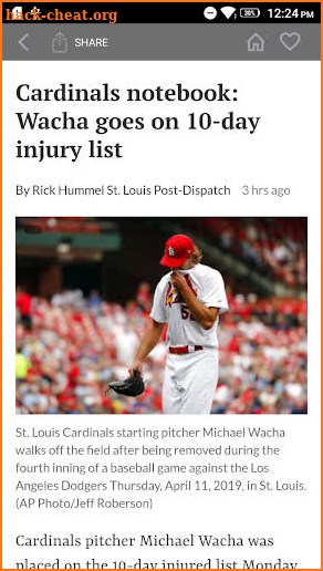 Post-Dispatch Baseball screenshot