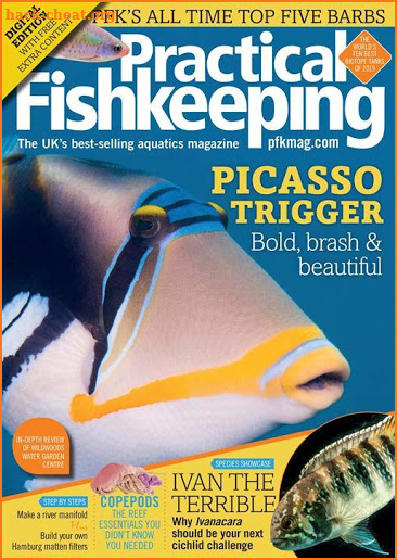 Practical Fish Keeping Magazine screenshot