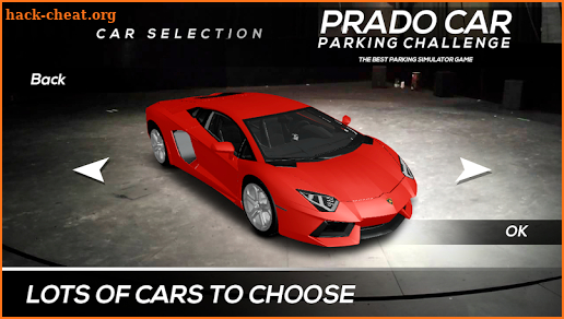 Prado Car Parking Challenge screenshot