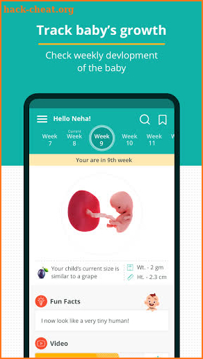 Pregnancy and Baby Tracker App screenshot
