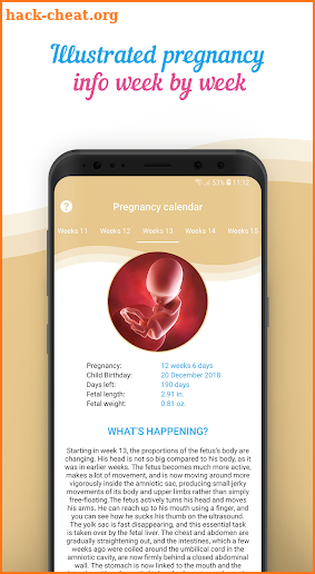 Pregnancy and childbirth calendar. Doula helper screenshot
