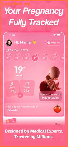 Pregnancy Buddy : Tracker App screenshot