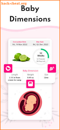 Pregnancy Calculator, Calendar screenshot