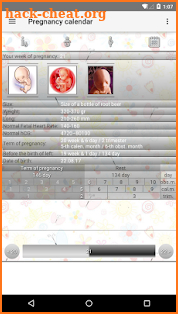 Pregnancy Calendar screenshot