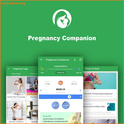 Pregnancy Companion screenshot