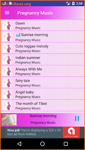 Pregnancy Music Collection screenshot