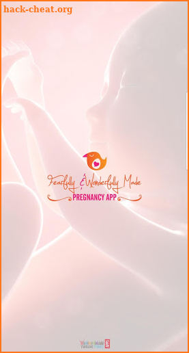 Pregnancy Prayer Guide App screenshot
