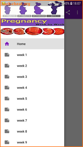 Pregnancy Stages Week by Week Guide screenshot