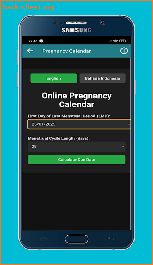 Pregnancy Test App screenshot