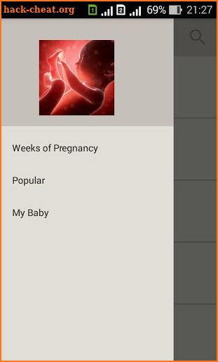 Pregnancy week by week. Expecting baby. Diary screenshot